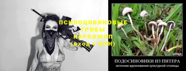 твердый Новокубанск