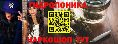 spice Канаш