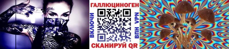 купить наркоту Чистополь Галлюциногенные грибы ЛСД