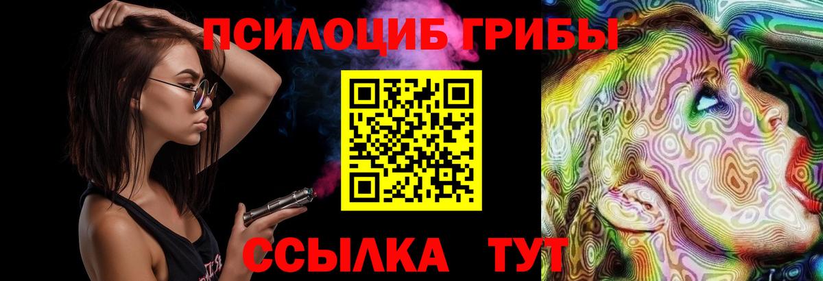 Чистополь  Псилоцибиновые грибы Magic Shrooms  Вход с VPN 