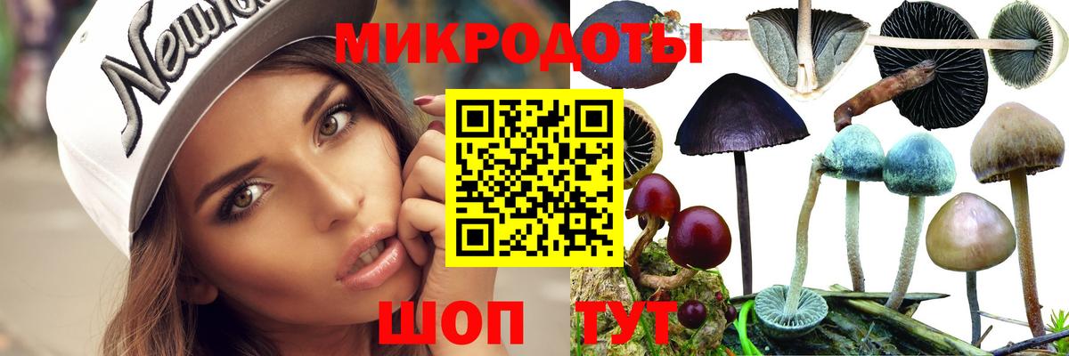 Псилоцибиновые грибы GOLDEN TEACHER  купить наркотики сайты  Чистополь 